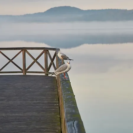 Appartement Schwan In - Wg 19b 